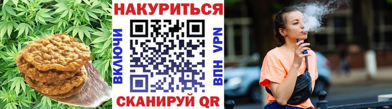 наркота  Кузнецк  kraken маркетплейс  Еда ТГК марихуана 