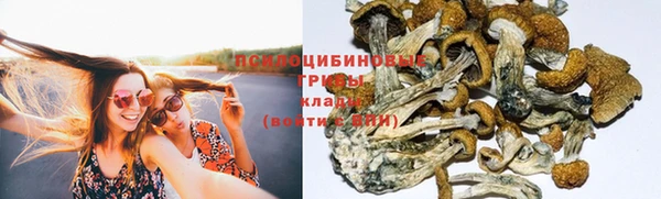 мдма Горняк
