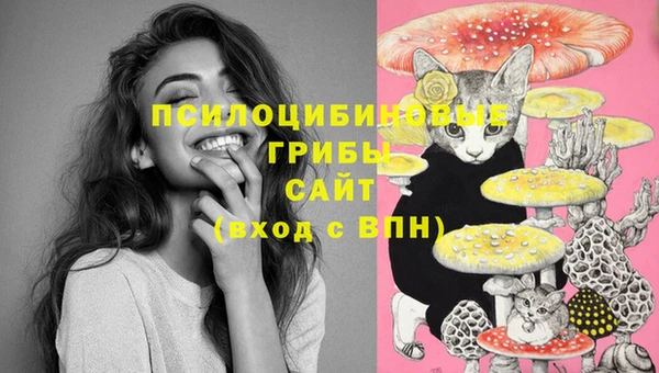 стаф Болотное