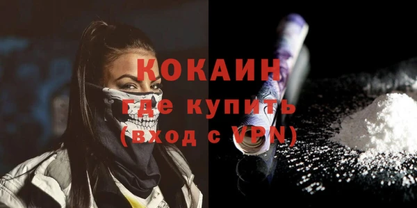 крисы Новодвинск
