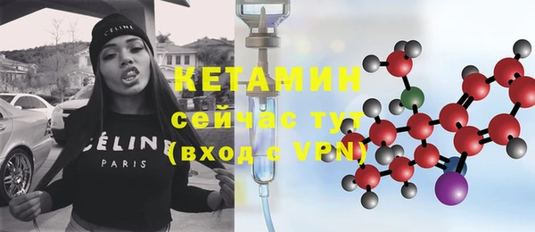 крисы Новодвинск