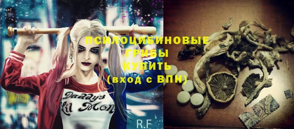 марки lsd Новозыбков