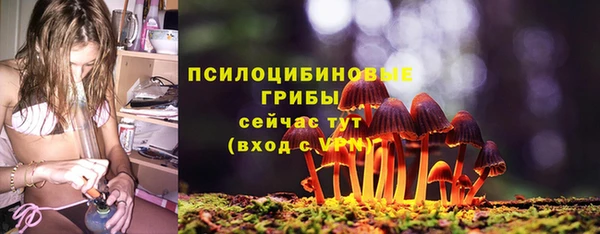 герыч Болхов