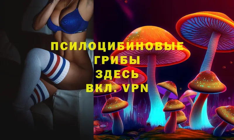 наркота  hydra рабочий сайт  Псилоцибиновые грибы Psilocybe  Кузнецк 