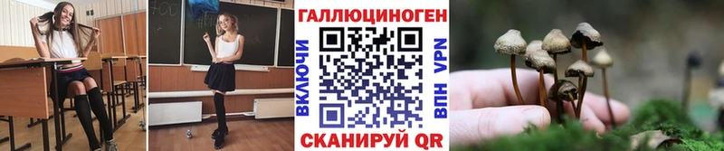 Галлюциногенные грибы Psilocybe  купить  сайты  Кузнецк 