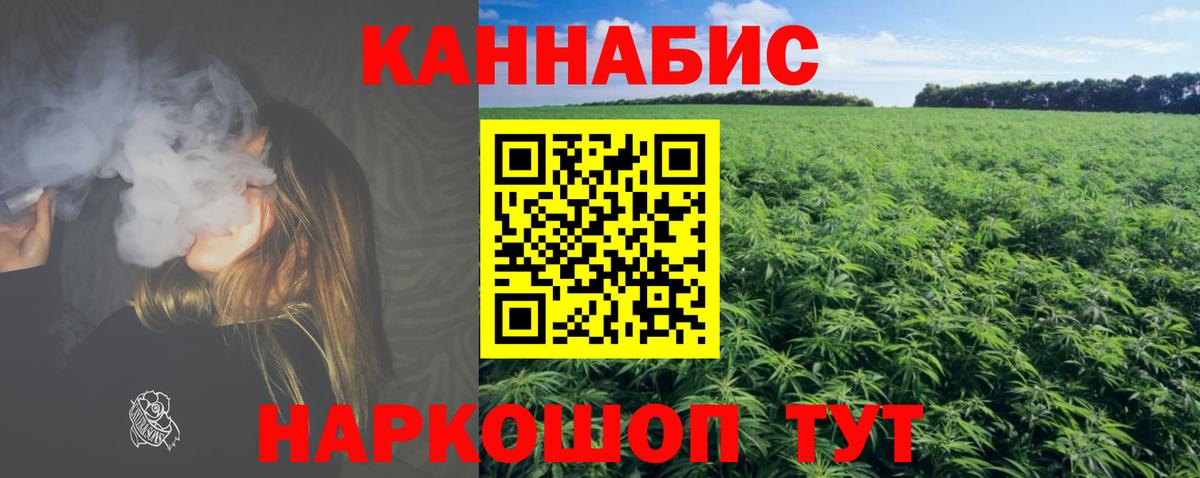 Конопля планчик Кузнецк